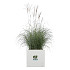 Elho vivo next vierkant 40 white (lxbxh) 39x40x38 cm + wielen