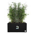 Elho vivo next lang 80 living black (lxbxh) 39x78x37,9 cm