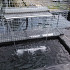 Waterval L75cm uitloop 24cm