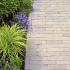 Gebakken WF60 Terra Gromo Antica 204x50x60