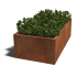 Cortenstaal gelaste plantenbak Rechthoek 200x100x60-zonder bodemplaat