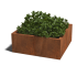 Cortenstaal gelaste plantenbak Vierkant 100x100x40-zonder bodemplaat