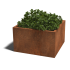 Cortenstaal gelaste plantenbak Vierkant 100x100x60-met bodemplaat