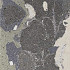 Keramisch | Lithops | Lipan Stamp (100x50x2cm)