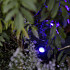 in-lite - Smart Scope Tone 12V