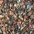 Schelpen 8-16 mm (660 L.)