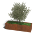 Cortenstaal plantenbak Rechthoek XL 160x50 hoogte=60cm opties=bodemplaat