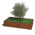 Cortenstaal plantenbak Rechthoek XL 200x100 hoogte=30cm opties=geen bodemplaat
