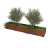 Cortenstaal plantenbak Rechthoek XL 300x60 hoogte=40cm opties=bodemplaat