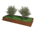 Cortenstaal plantenbak Rechthoek XL 320x120 hoogte=60cm opties=bodemplaat