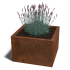 Cortenstaal plantenbak Vierkant 60x60 hoogte=80cm opties=bodemplaat + (8) voeten