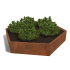 Cortenstaal plantenbak Zeshoek 120 hoogte=30cm
