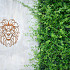 Cortenstaal wanddecoratie Lion 1.0-Small