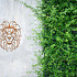 Cortenstaal wanddecoratie Lion 1.0-Large