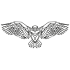 Eagle-Large