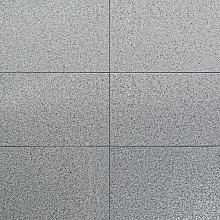 Granit Grey Piazzo Elegance Linea 40x40x3 cm - maandprijs