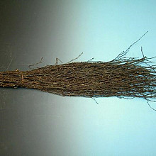 Berken- / Rijsbezem lichte uitvoering