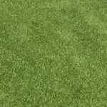 Royal Grass® Blossom