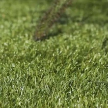 Royal Grass® Bliss