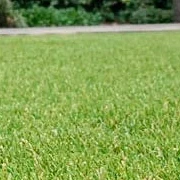 Royal Grass® Wave