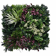 Green wall element Tropic B (50x50 cm)