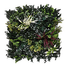 Green wall element Botanic B (50x50 cm)