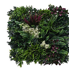 Green wall element Botanic C (50x50 cm)