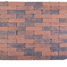 Actionline Aardmonnik 20x5x7 (wf)