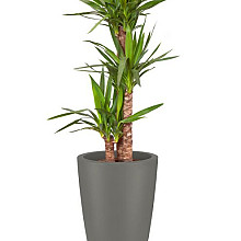 Elho pure soft round high 40 beton (lxbxh)39x39x70,1