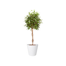 Elho pure straight round 50 wit (lxbxh)50x50x51