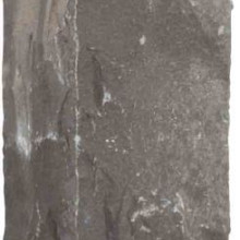 Palissade Black pearl naturel 50x12x12 cm