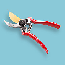 Snoeischaar TITAN 2 Professionele kwaliteit. Blad met Titanium coating