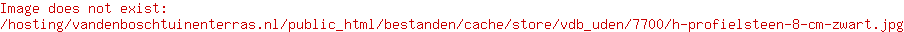 H-profielstenen (MBI)
