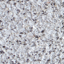 Infra GeoColor klinker Excellent 21x10,5x8 edelgrijs (XLL)
