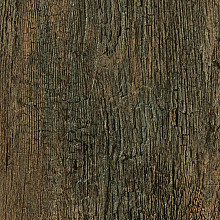 Keramische tegel 120x30x2 cm Noon Honey NN03