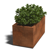 Cortenstaal gelaste plantenbak Rechthoek 100x50x50-met bodemplaat