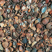 Schelpen 8-16 mm (660 L.)