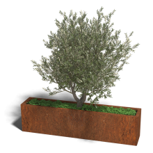 Cortenstaal plantenbak Rechthoek XL 160x30 hoogte=30cm opties=bodemplaat