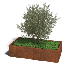 Cortenstaal plantenbak Rechthoek XL 160x80 hoogte=30cm opties=geen bodemplaat