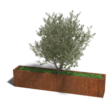 Cortenstaal plantenbak Rechthoek XL 200x30 hoogte=30cm opties=bodemplaat