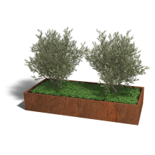 Cortenstaal plantenbak Rechthoek XL 240x100 hoogte=30cm opties=bodemplaat