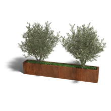 Cortenstaal plantenbak Rechthoek XL 240x30 hoogte=30cm opties=bodemplaat