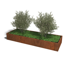 Cortenstaal plantenbak Rechthoek XL 300x100 hoogte=100cm opties=bodemplaat