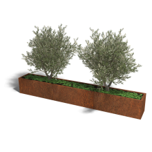 Cortenstaal plantenbak Rechthoek XL 300x40 hoogte=30cm opties=bodemplaat