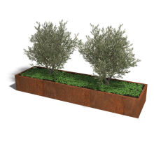 Cortenstaal plantenbak Rechthoek XL 300x80 hoogte=30cm opties=bodemplaat