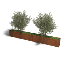 Cortenstaal plantenbak Rechthoek XL 320x30 hoogte=30cm opties=bodemplaat