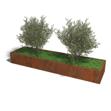 Cortenstaal plantenbak Rechthoek XL 320x80 hoogte=30cm opties=bodemplaat
