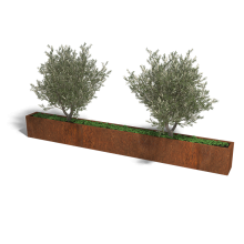 Cortenstaal plantenbak Rechthoek XL 360x30 hoogte=30cm opties=geen bodemplaat