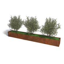 Cortenstaal plantenbak Rechthoek XL 400x50 hoogte=30cm opties=bodemplaat