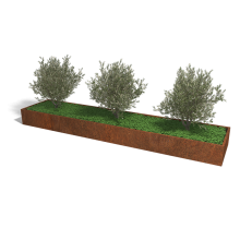 Cortenstaal plantenbak Rechthoek XL 480x100 hoogte=30cm opties=bodemplaat